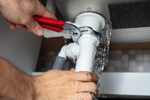 Best Flood damage cleanup  in Seville, OH