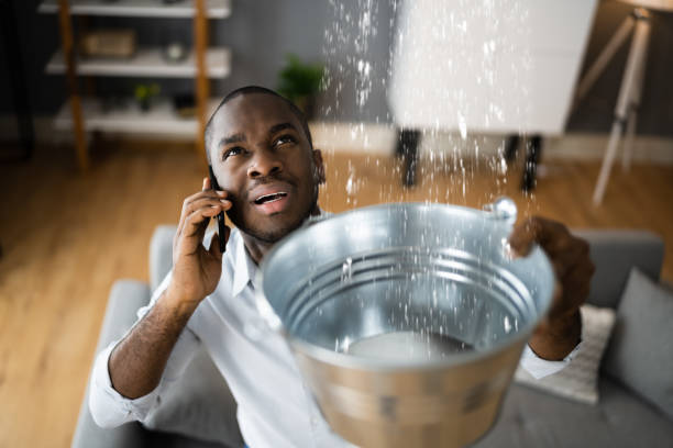 Best Flooded house restoration  in Seville, OH