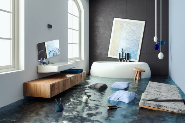 Best Professional water damage repair  in Seville, OH