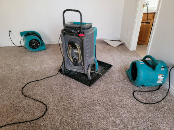 Best Residential water damage restoration  in Seville, OH