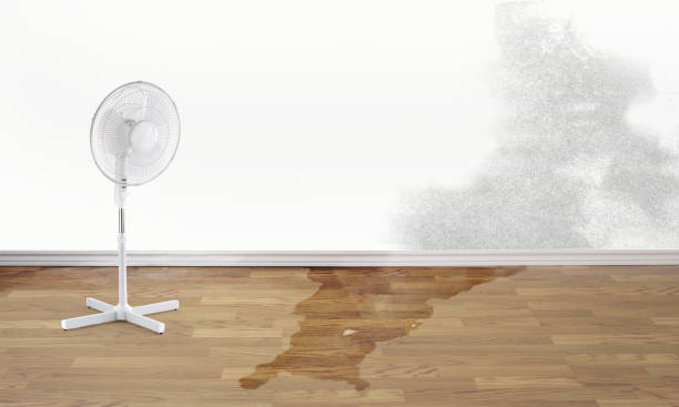 Seville, OH Water damage restoration Company