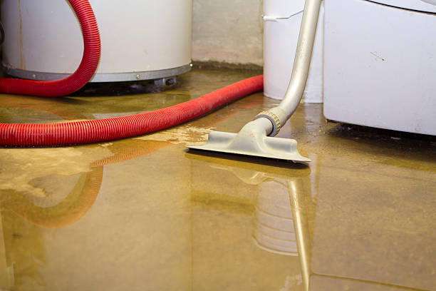 Best Carpet water damage restoration  in Seville, OH