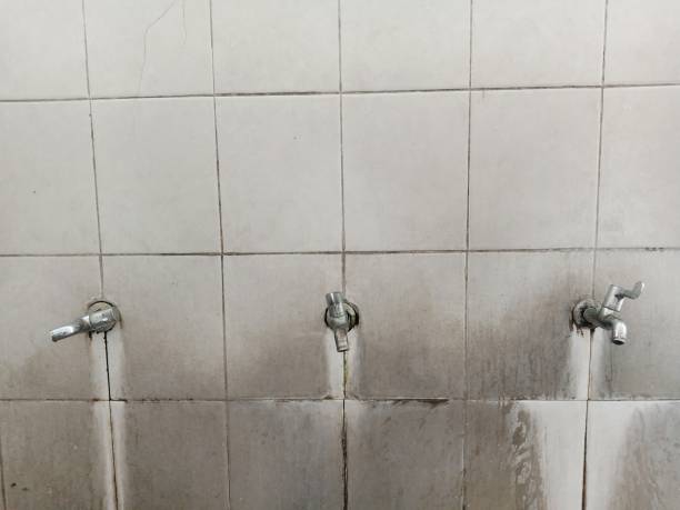 Best Fire Damage Restoration  in Seville, OH
