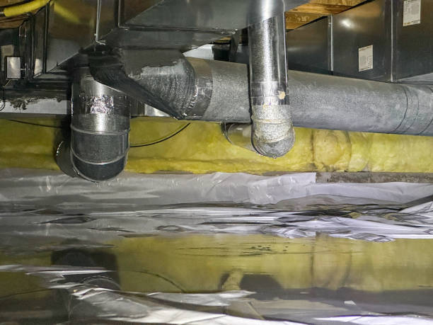 Best Carpet water damage restoration  in Seville, OH