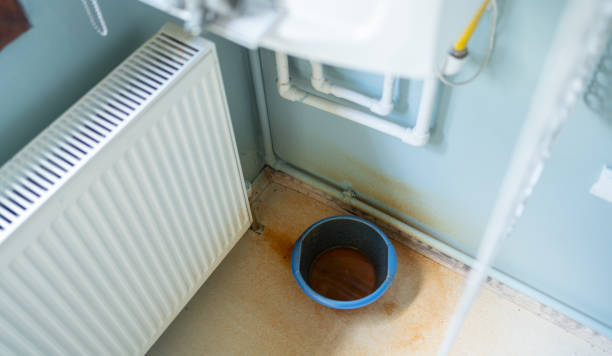 Best Water damage repair service  in Seville, OH