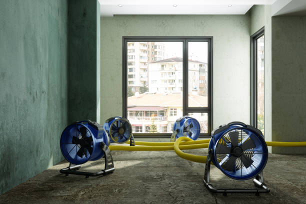 Best Water damage contractors near me  in Seville, OH